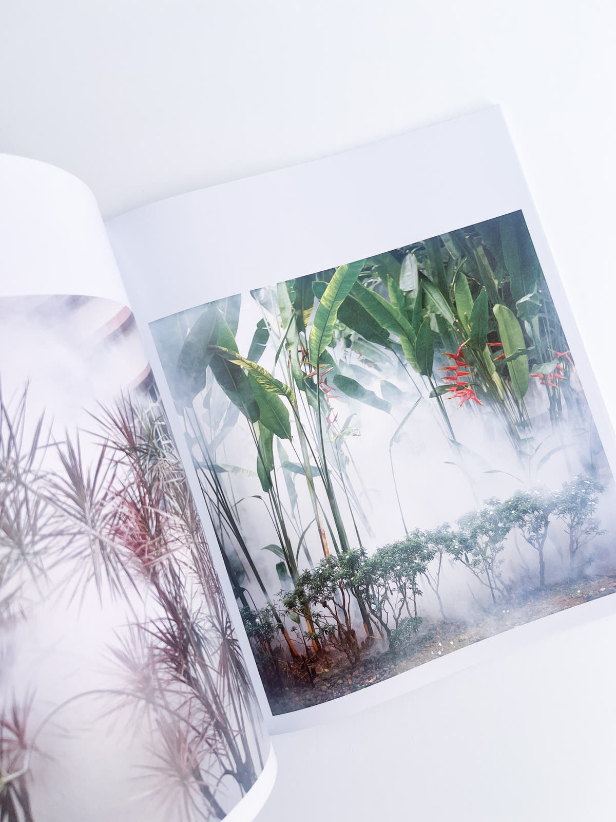 White Noise / Kathy Anne Lim