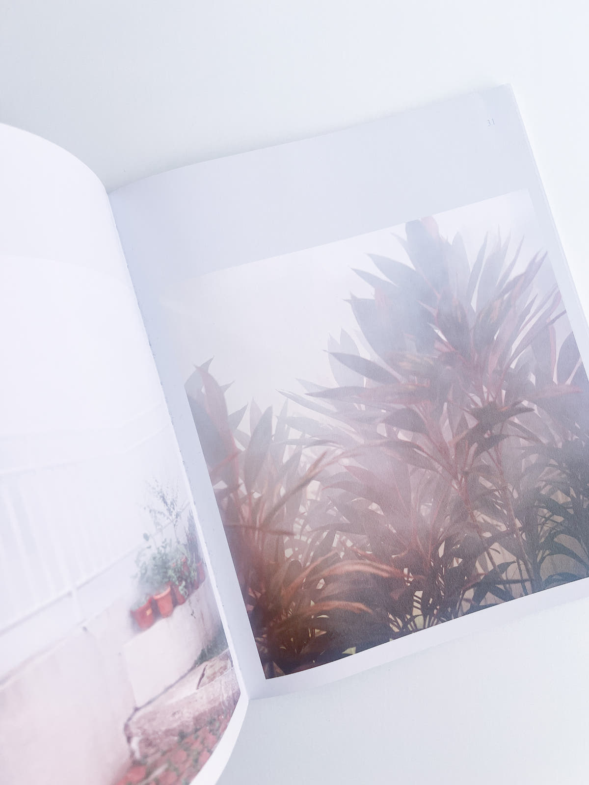White Noise / Kathy Anne Lim