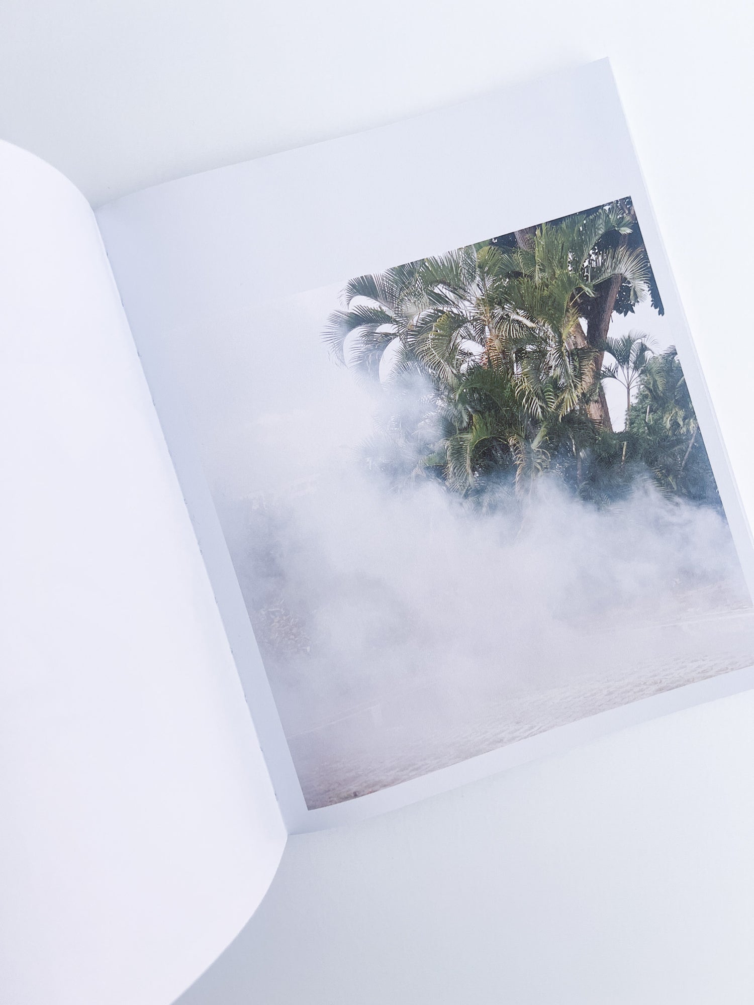 White Noise / Kathy Anne Lim