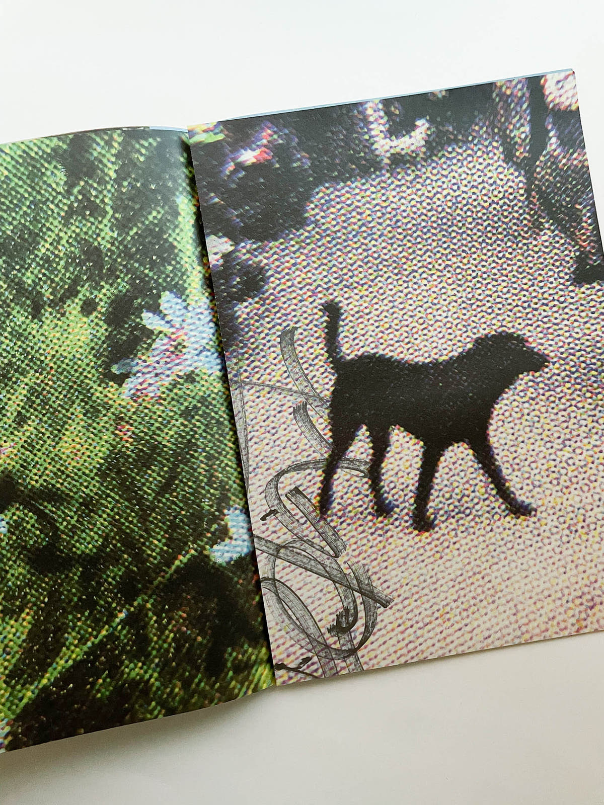 VANISHING POINT exhibition in liminal zone / Kanade Hamamoto
