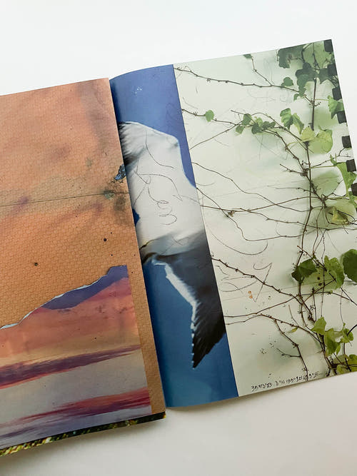 VANISHING POINT exhibition in liminal zone / Kanade Hamamoto