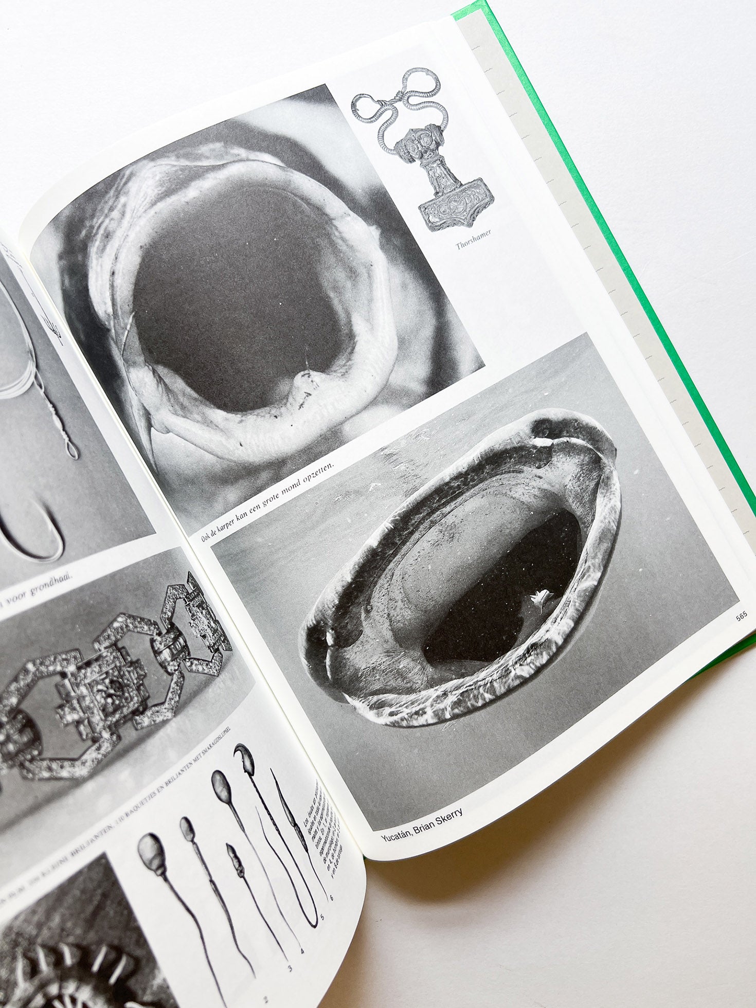 Parallel Encyclopedia 2 Revised Edition (reprint) / Batia Suter