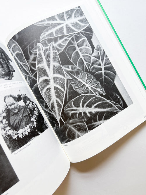 Parallel Encyclopedia 2 Revised Edition (reprint) / Batia Suter