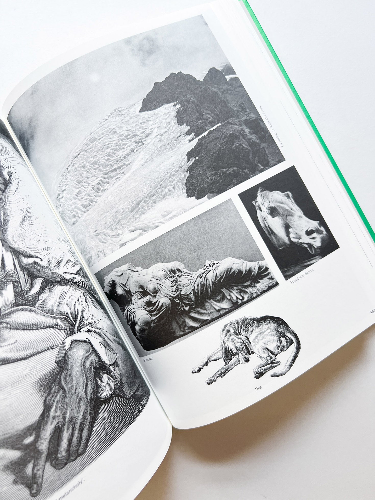 Parallel Encyclopedia 2 Revised Edition (reprint) / Batia Suter