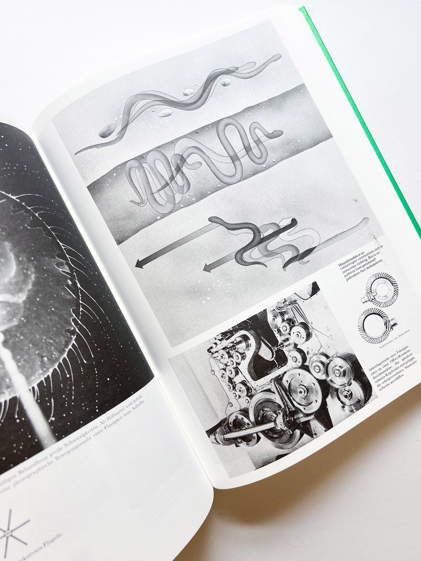 Parallel Encyclopedia 2 Revised Edition (reprint) / Batia Suter