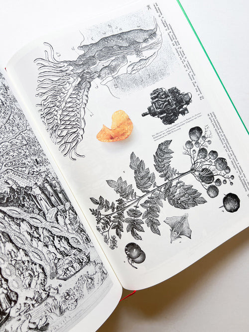 Parallel Encyclopedia 2 Revised Edition (reprint) / Batia Suter