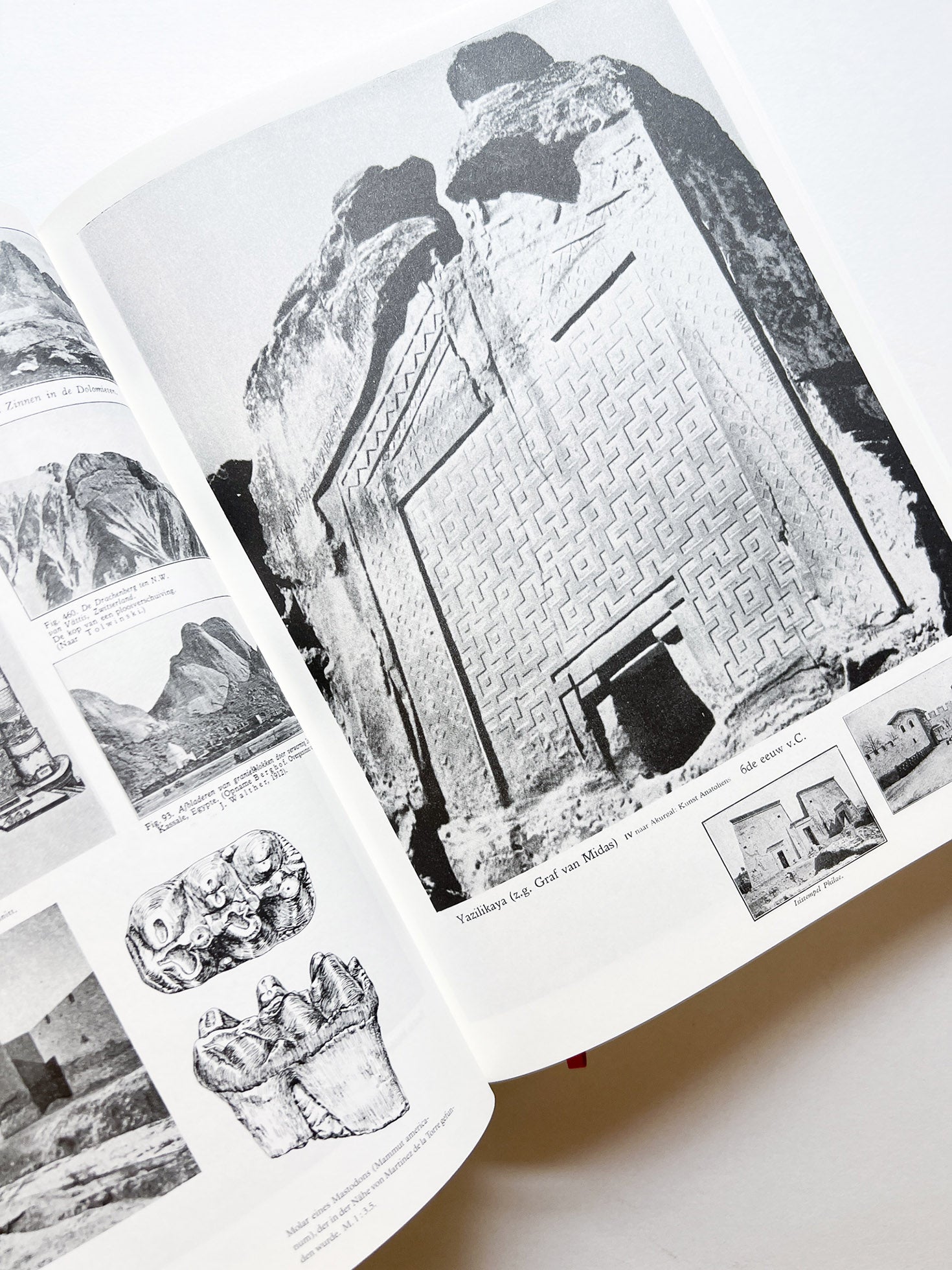 Parallel Encyclopedia 2 Revised Edition (reprint) / Batia Suter