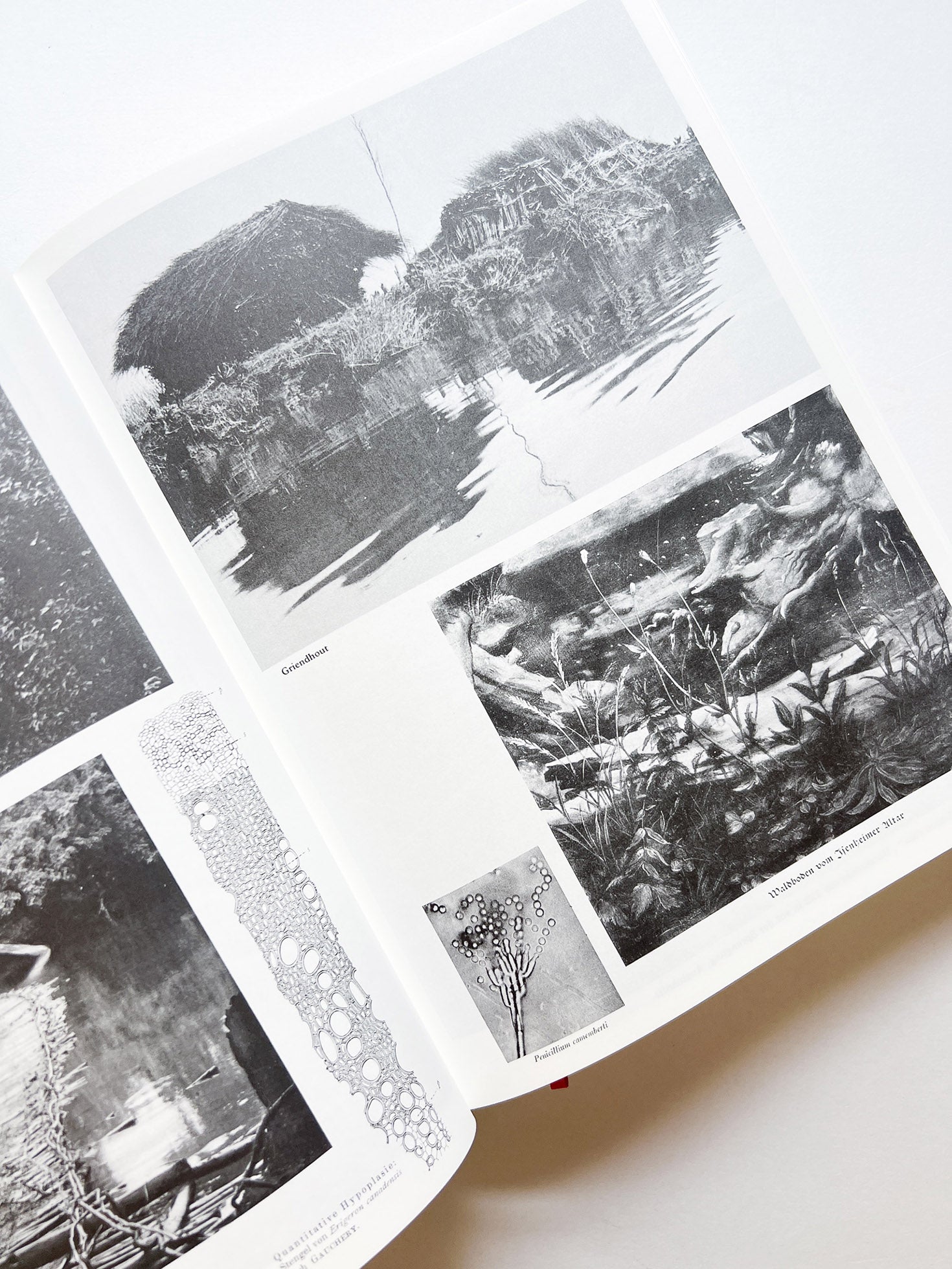 Parallel Encyclopedia 2 Revised Edition (reprint) / Batia Suter