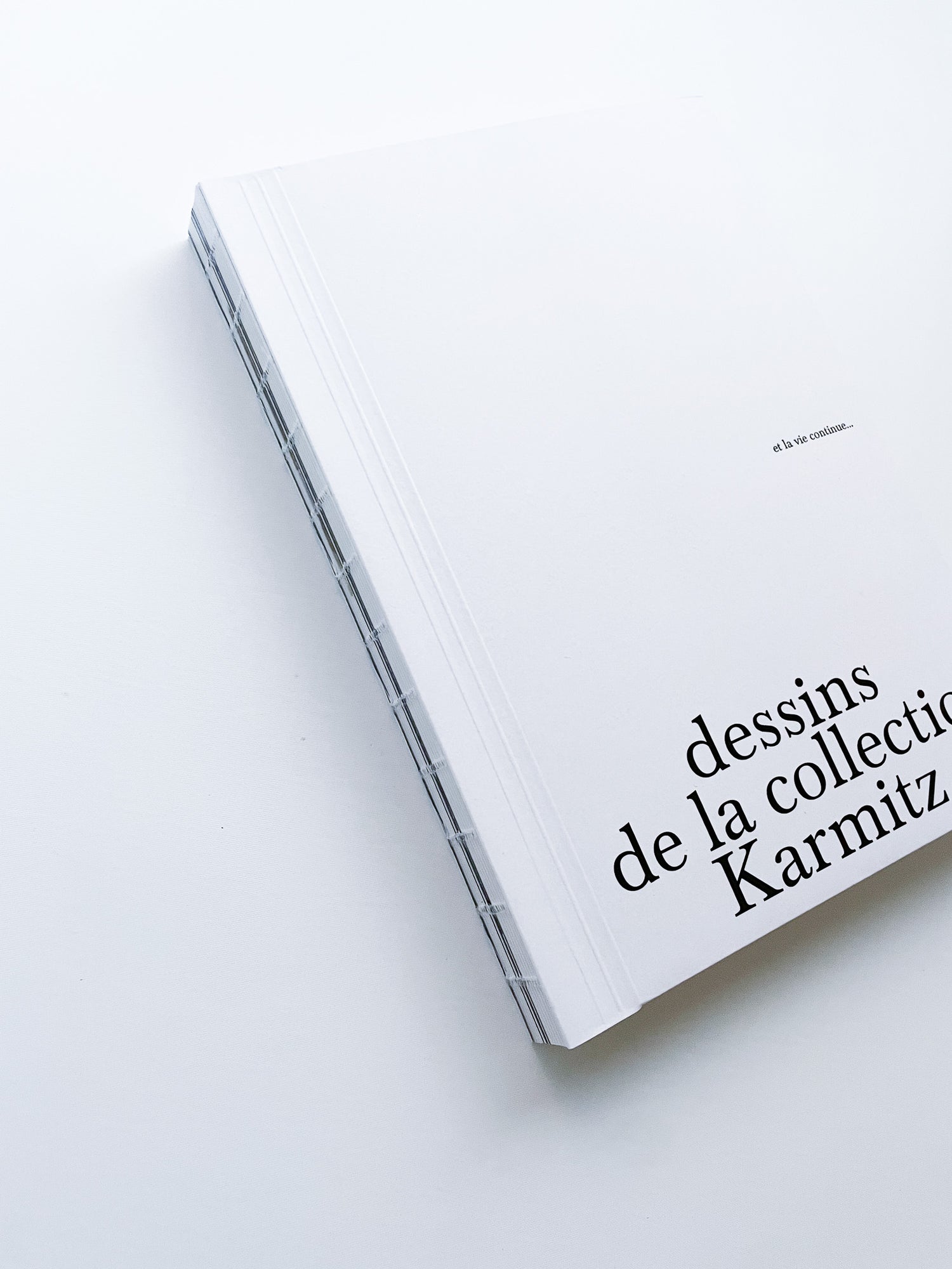 et la vie continue… dessins de la collection Karmitz