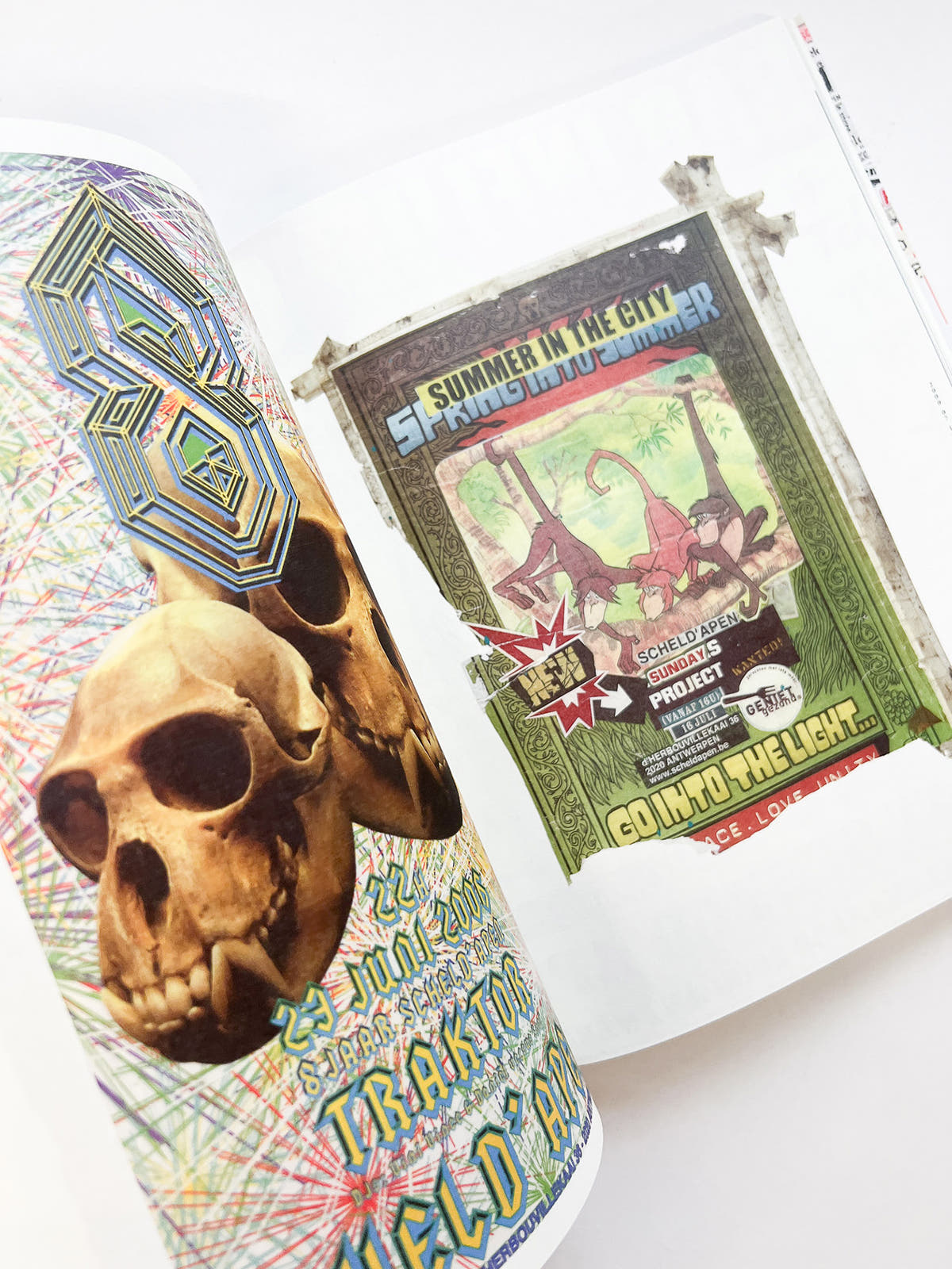 GRAPHIC DESIGN of Scheld’Apen