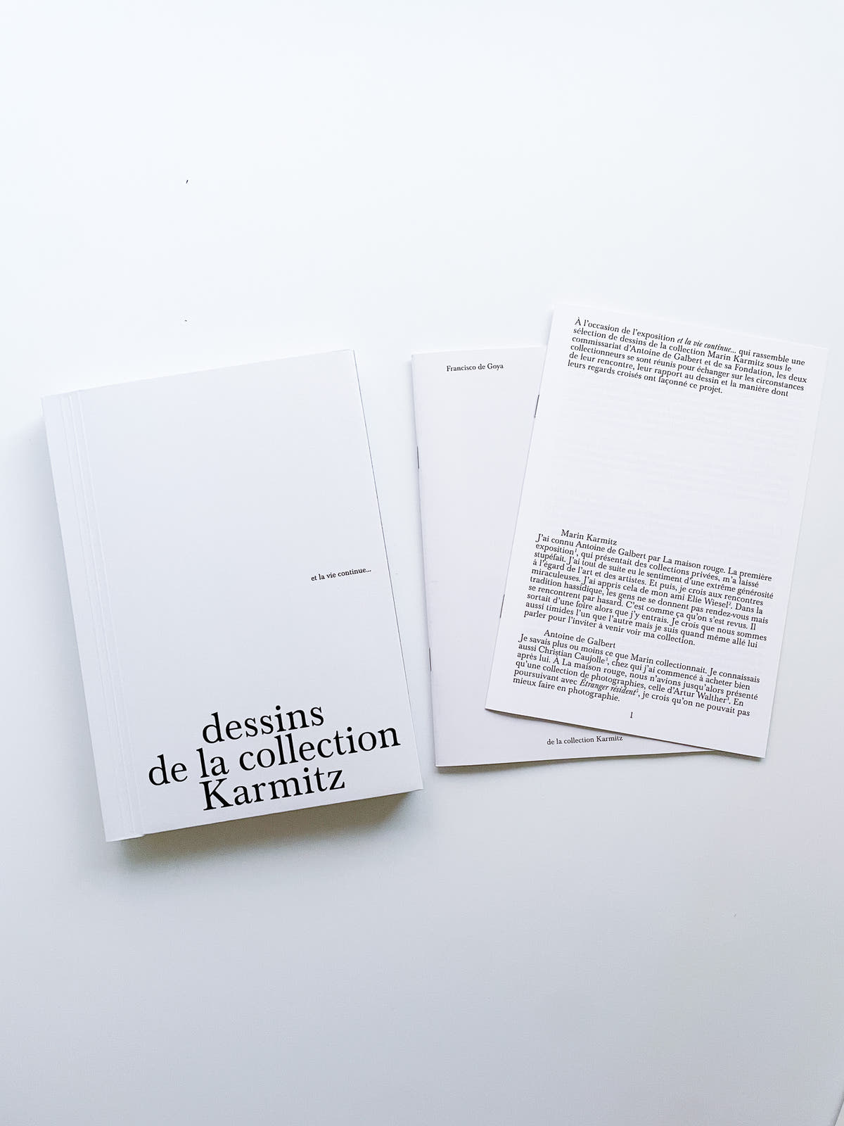 et la vie continue… dessins de la collection Karmitz
