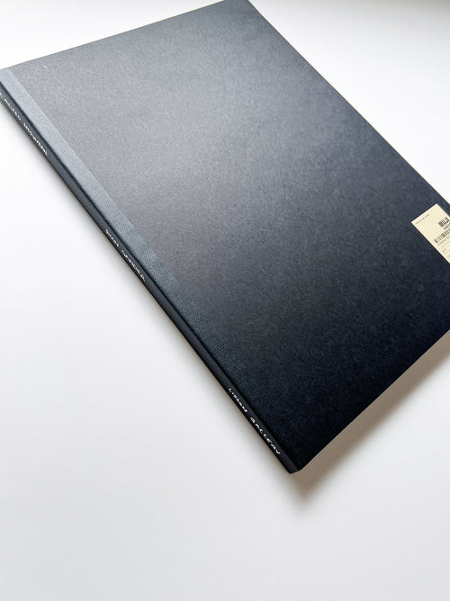 A MELTED SNOWMAN / Ryan Gander