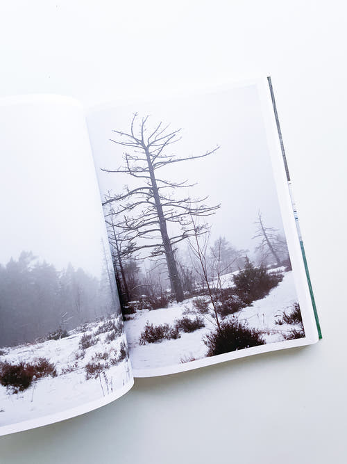 Aalto and Nature