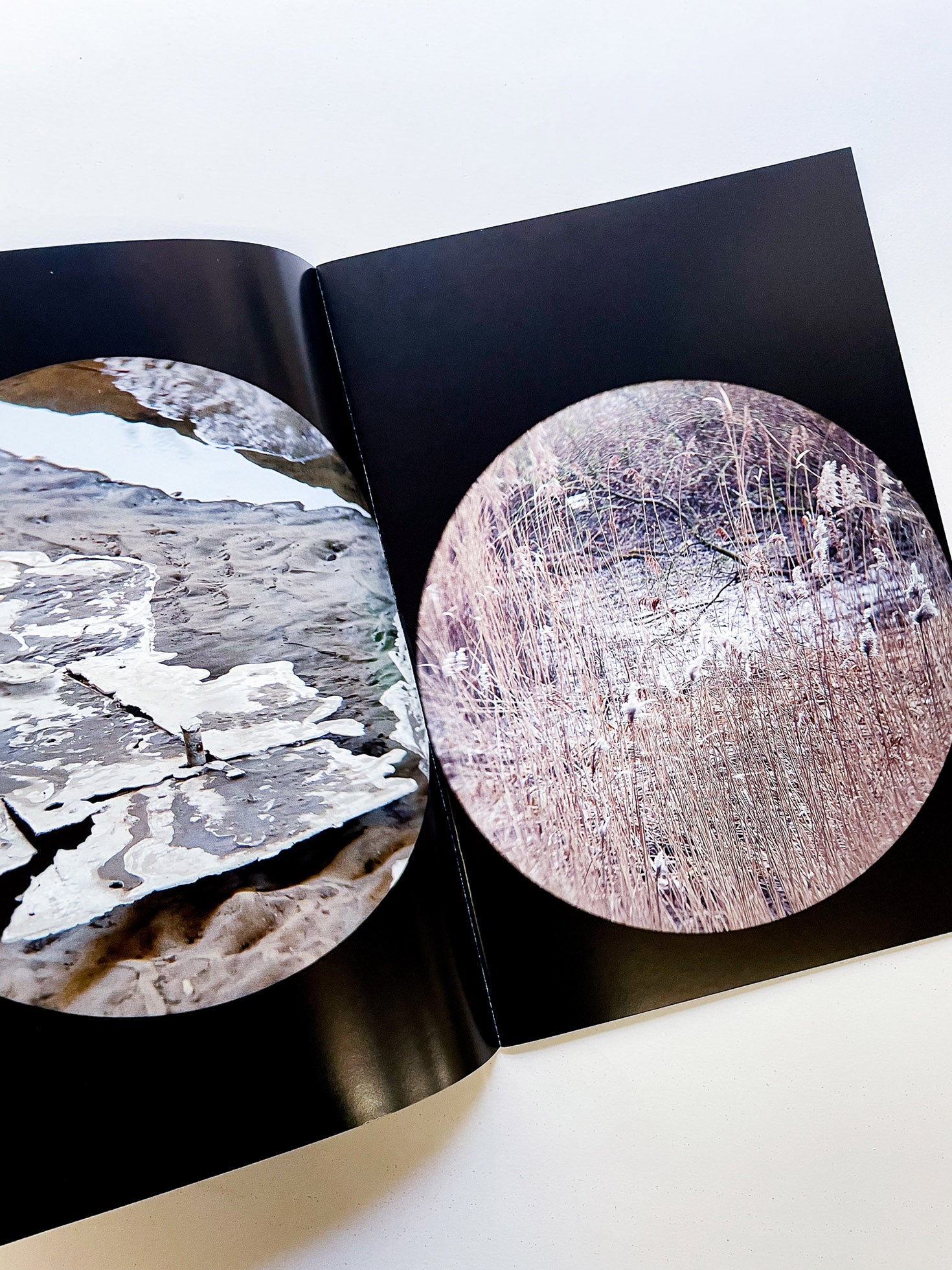 Foundations / Víctor Santamarina