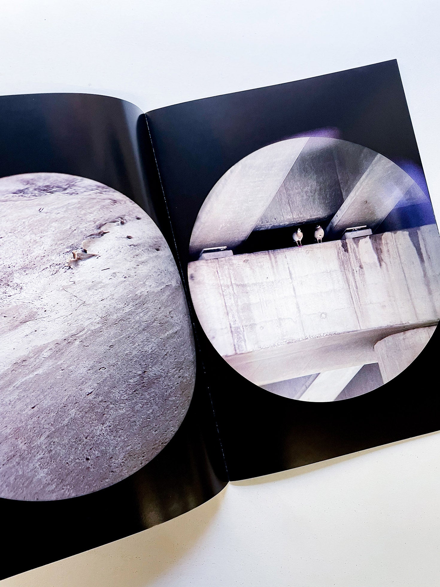 Foundations / Víctor Santamarina