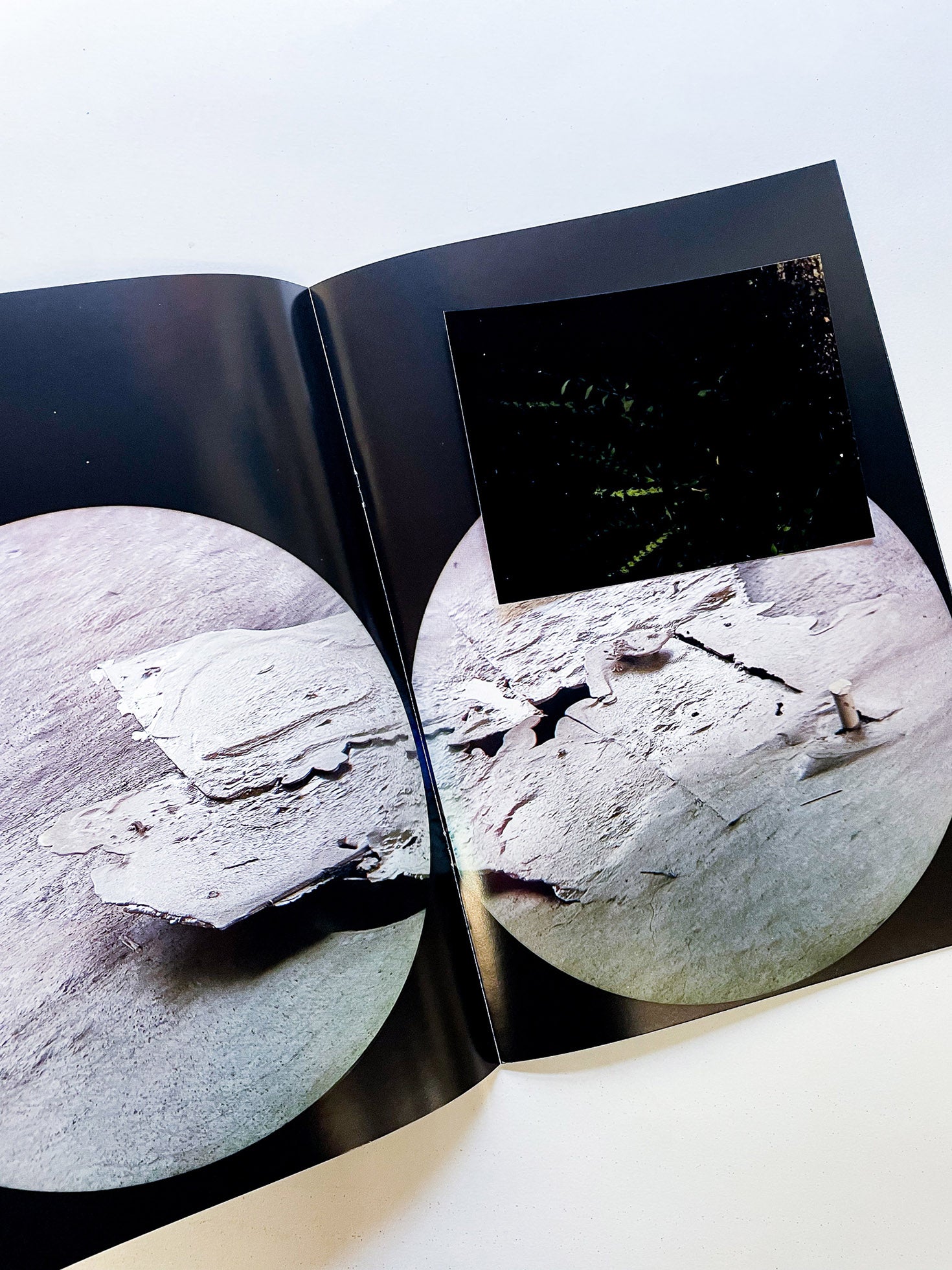 Foundations / Víctor Santamarina