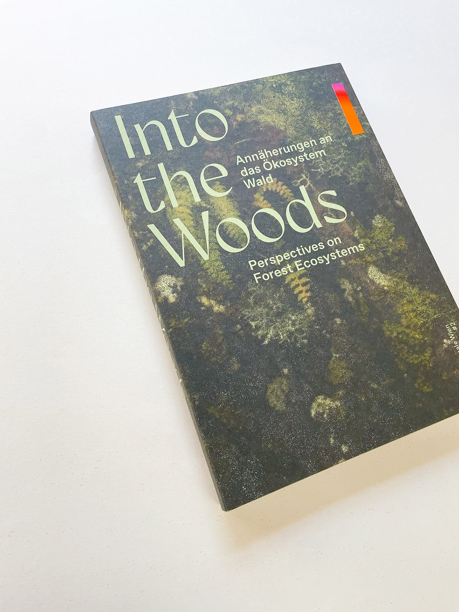 INTO THE WOODS / Sophie Haslinger