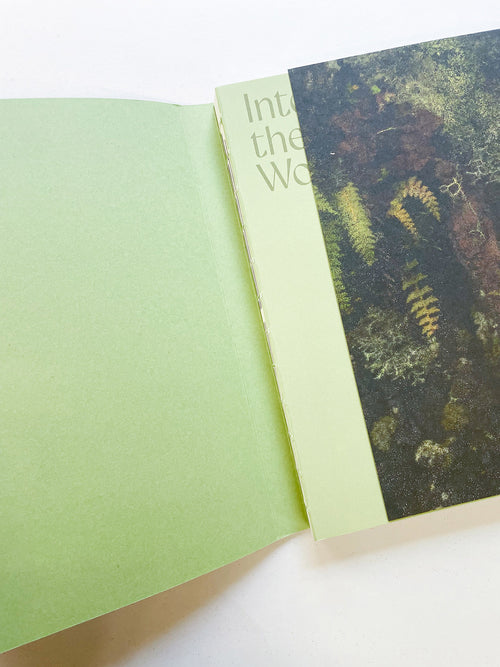 INTO THE WOODS / Sophie Haslinger