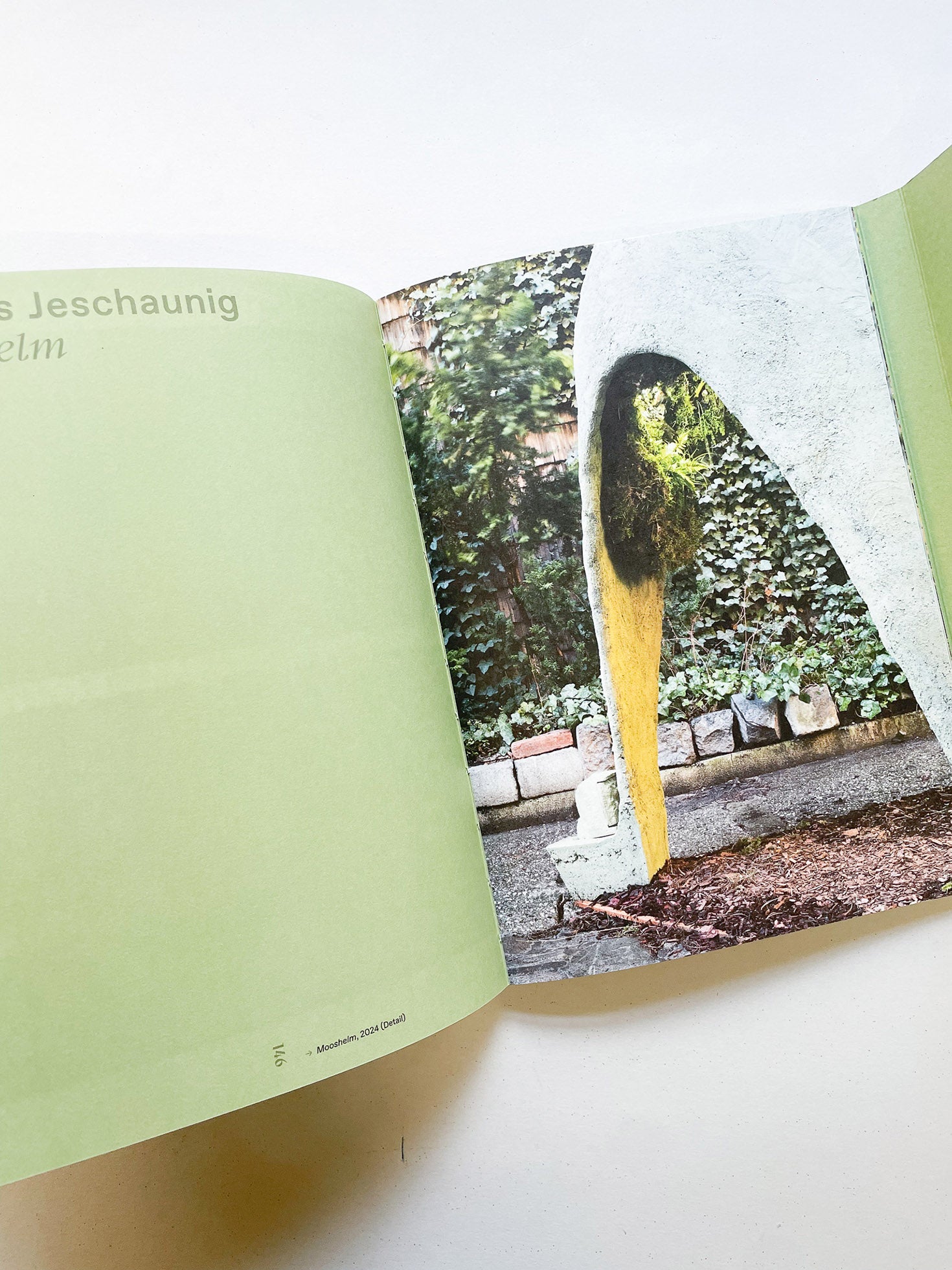 INTO THE WOODS / Sophie Haslinger