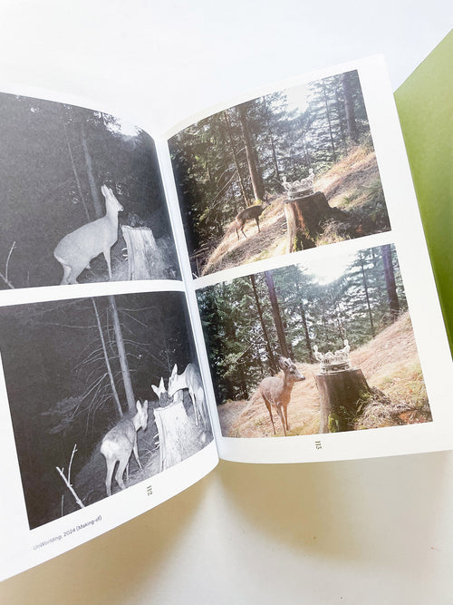 INTO THE WOODS / Sophie Haslinger