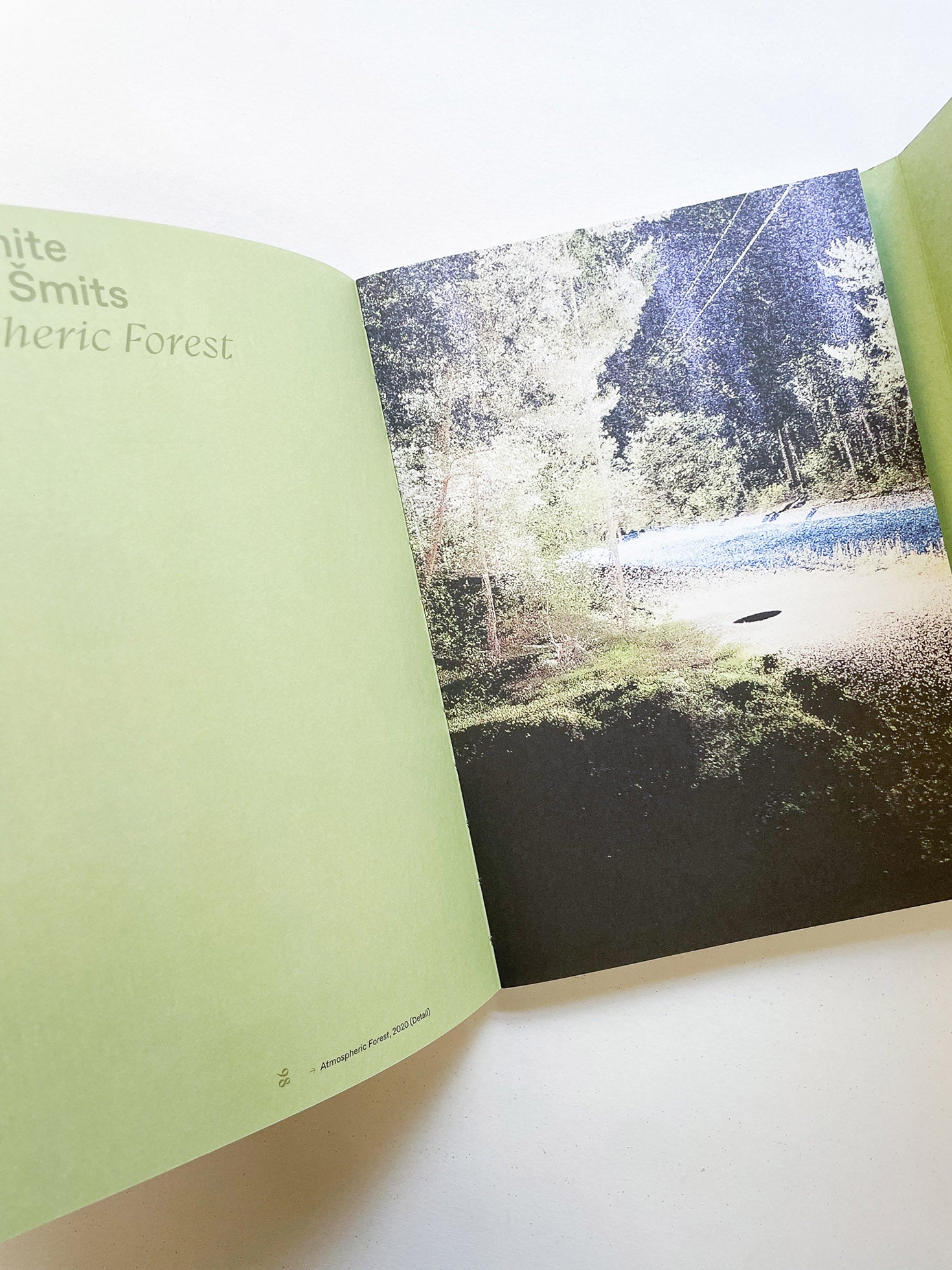 INTO THE WOODS / Sophie Haslinger