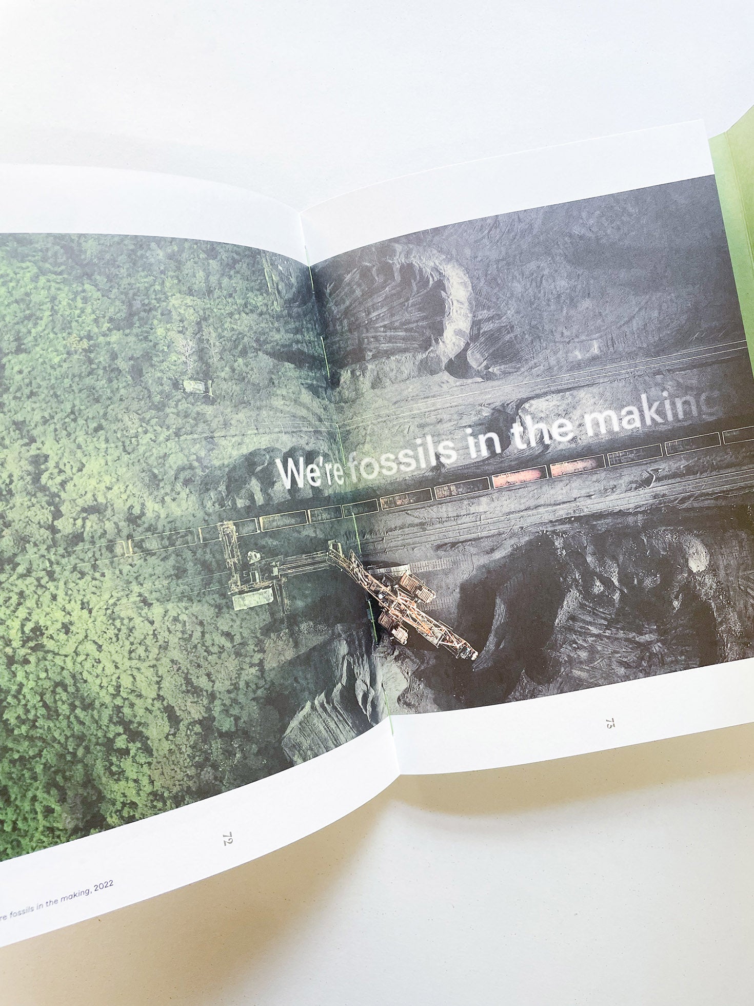 INTO THE WOODS / Sophie Haslinger