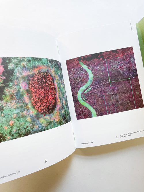 INTO THE WOODS / Sophie Haslinger