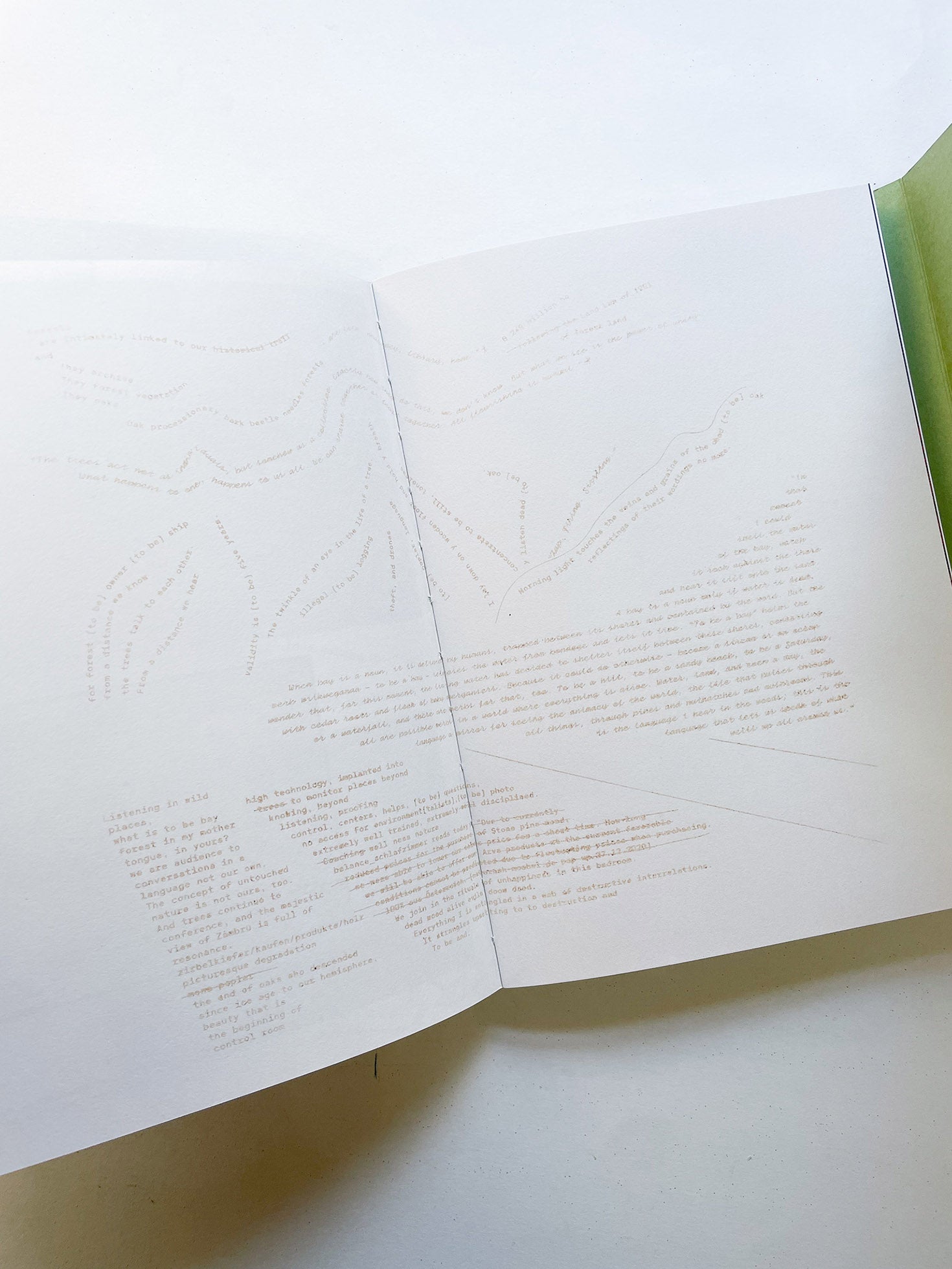 INTO THE WOODS / Sophie Haslinger