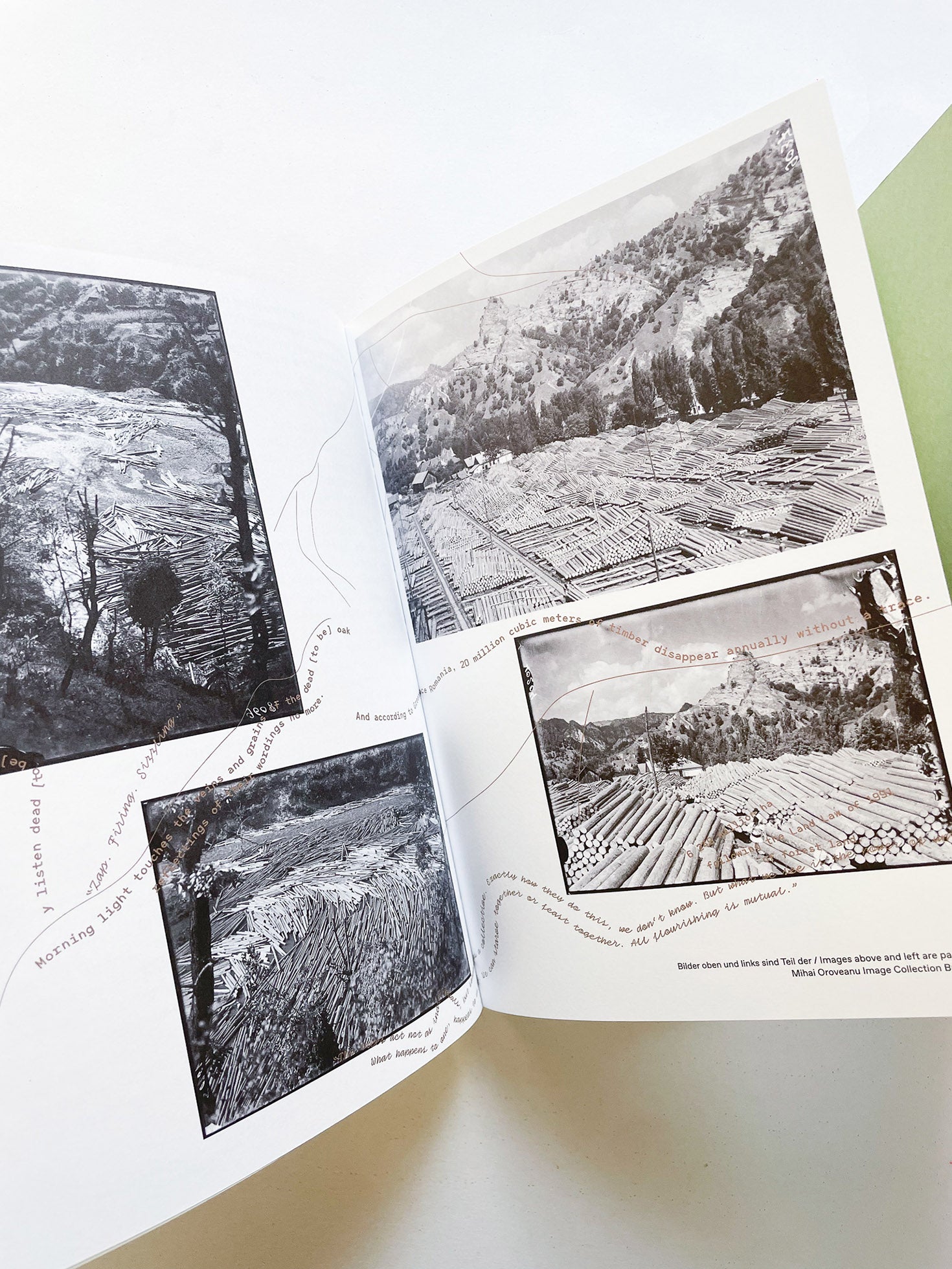 INTO THE WOODS / Sophie Haslinger