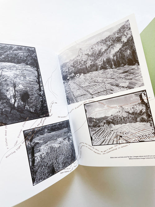 INTO THE WOODS / Sophie Haslinger