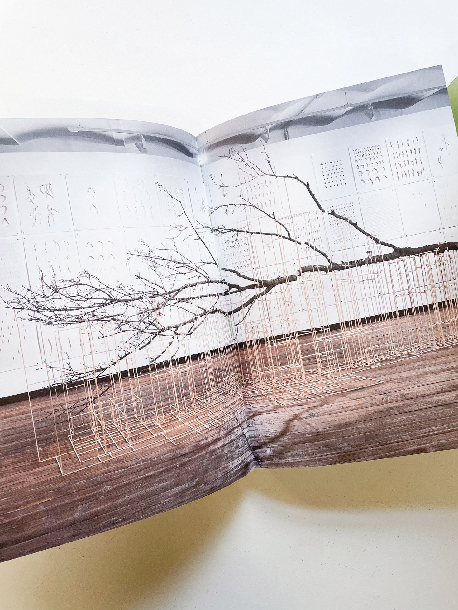 INTO THE WOODS / Sophie Haslinger