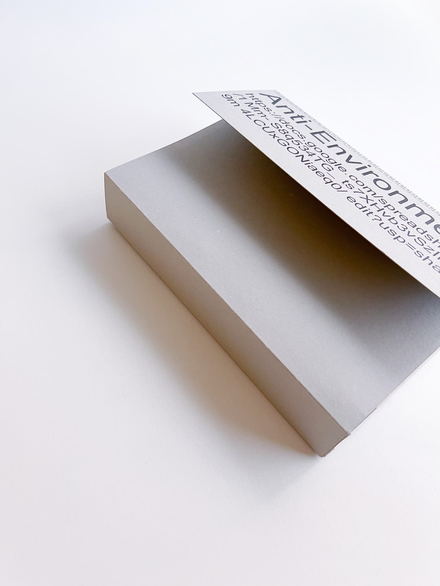 Anti-Environments / Luis Adrian Borchardt