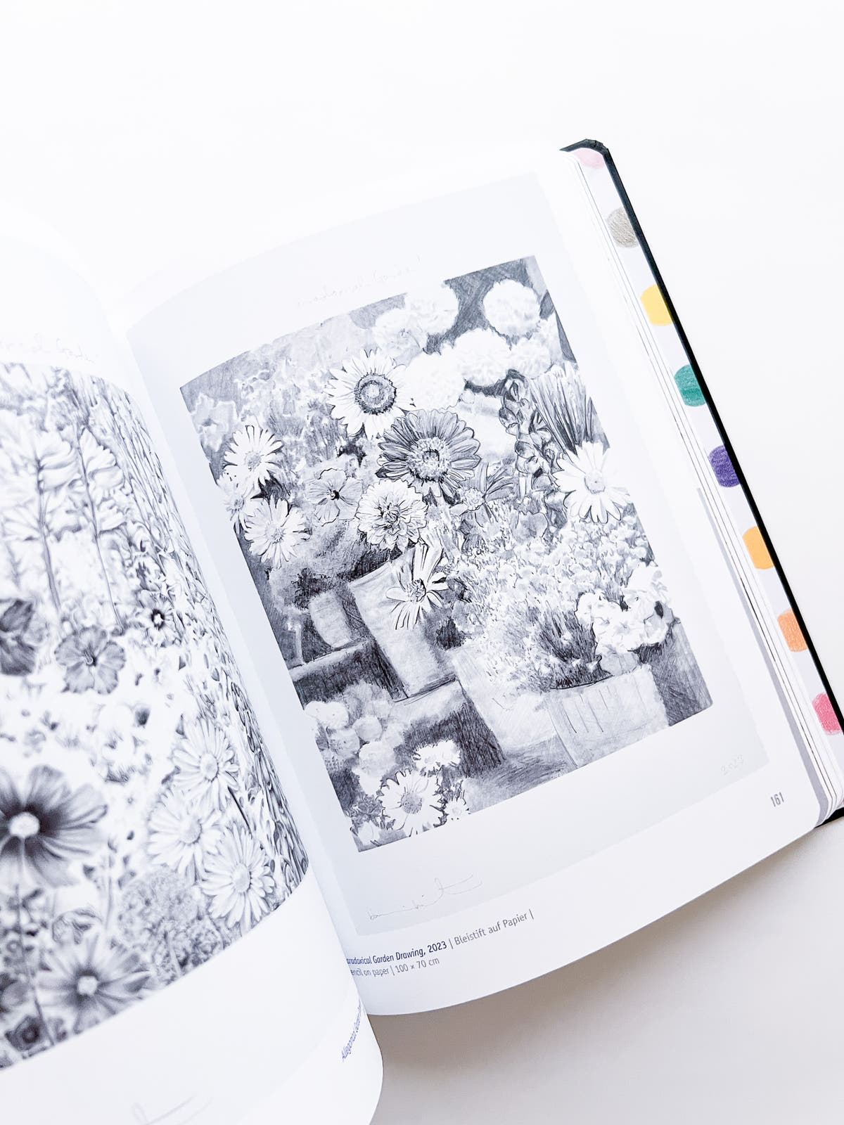 DAMIEN HIRST - DRAWINGS / Damien Hirst
