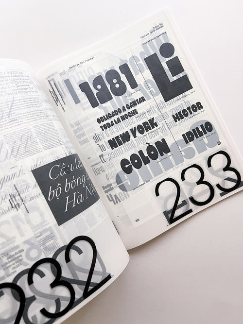 SUPPORT INDEPENDENT TYPE II
