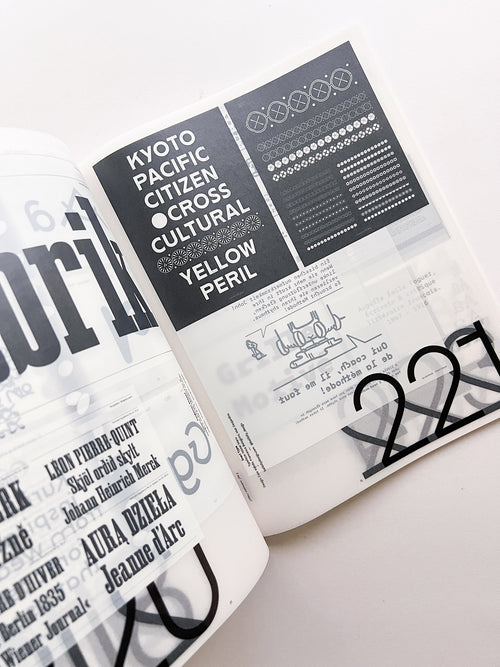 SUPPORT INDEPENDENT TYPE II