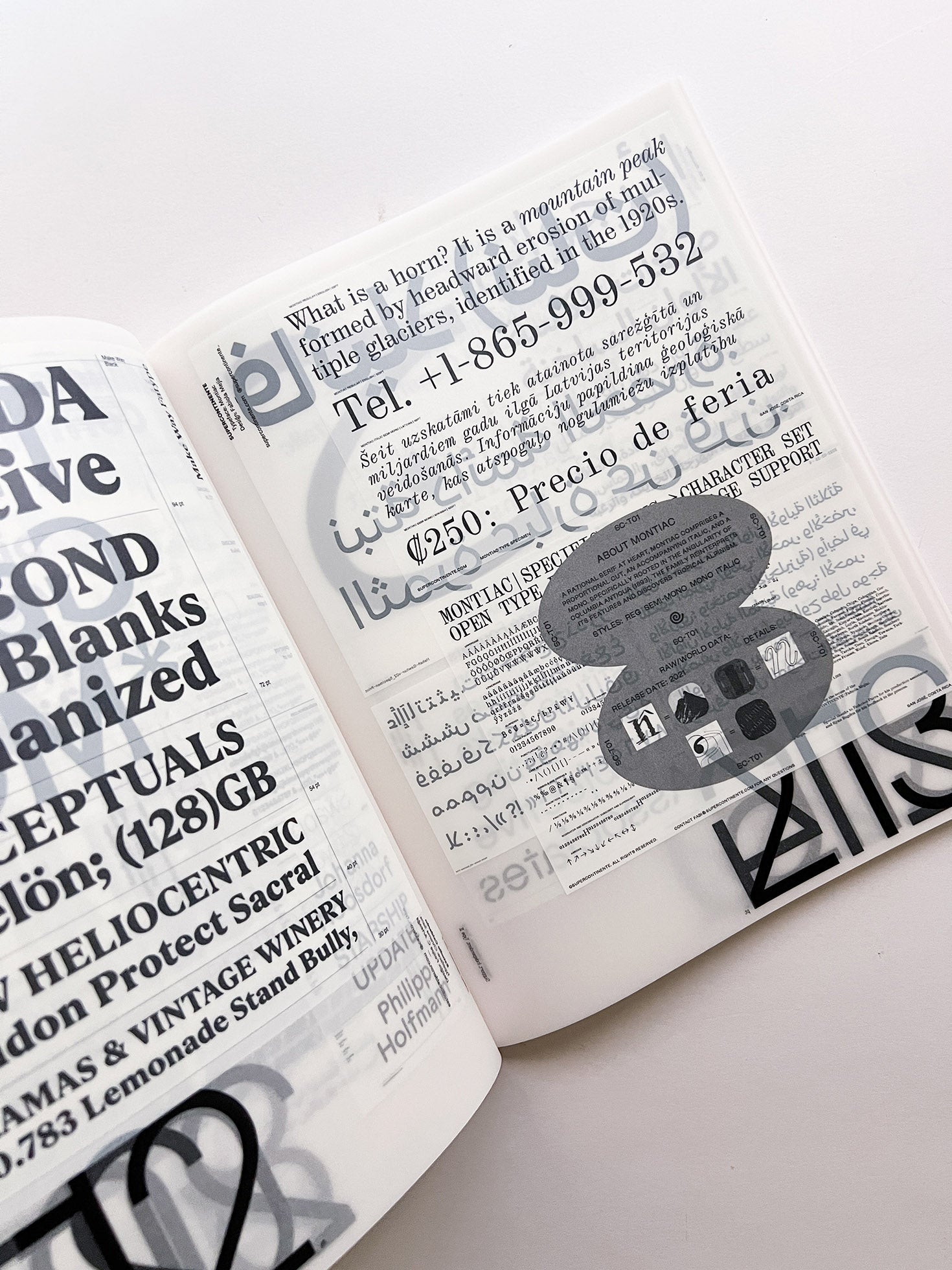 SUPPORT INDEPENDENT TYPE II