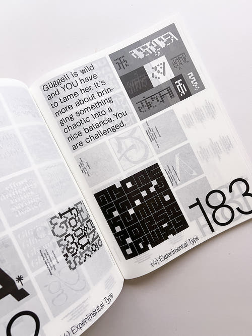 SUPPORT INDEPENDENT TYPE II