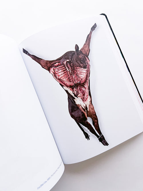 DAMIEN HIRST - DRAWINGS / Damien Hirst