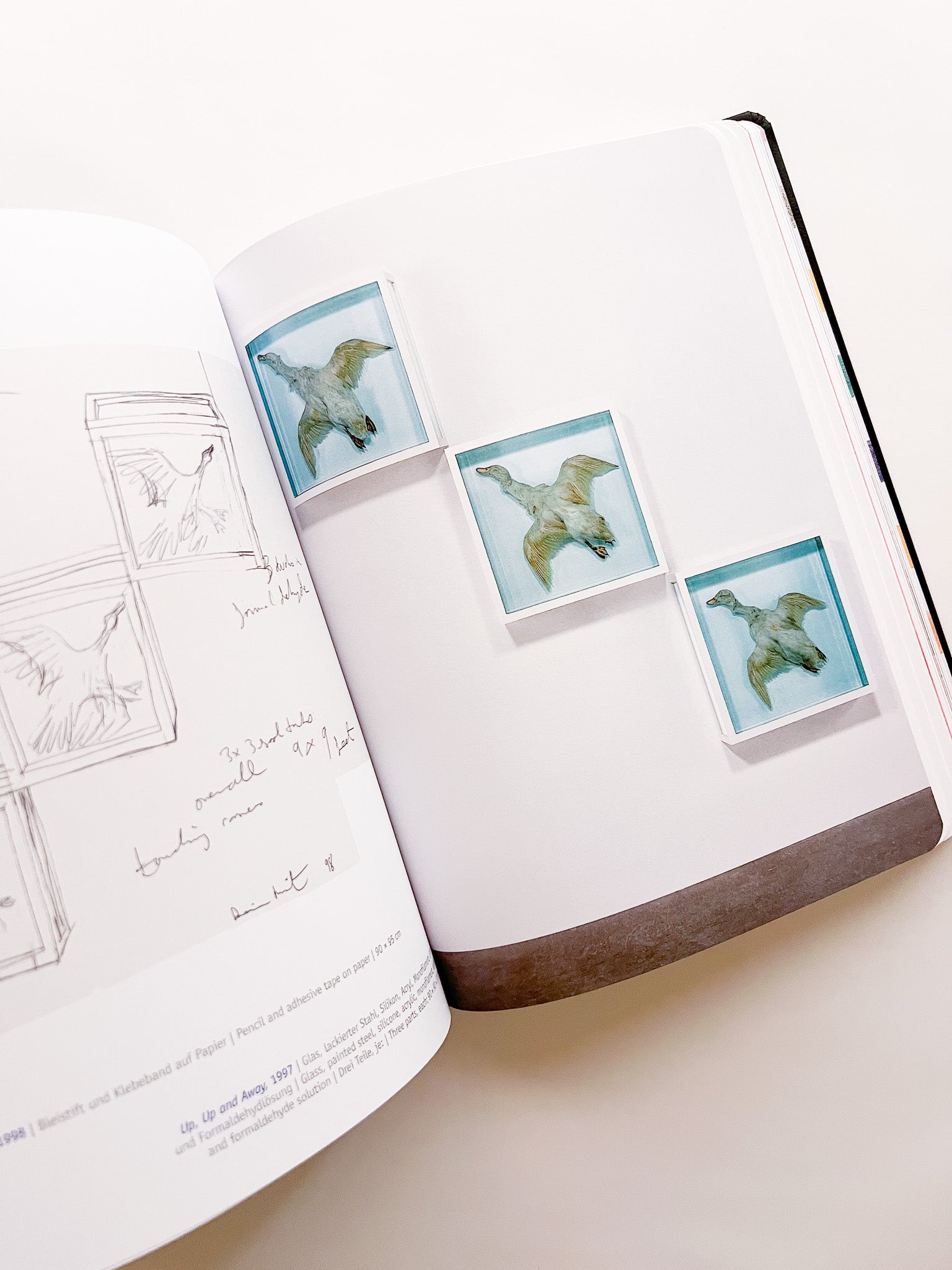 DAMIEN HIRST - DRAWINGS / Damien Hirst - 本屋青旗 Ao-Hata Bookstore