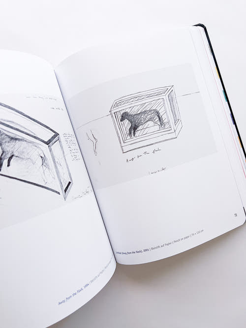 DAMIEN HIRST - DRAWINGS / Damien Hirst