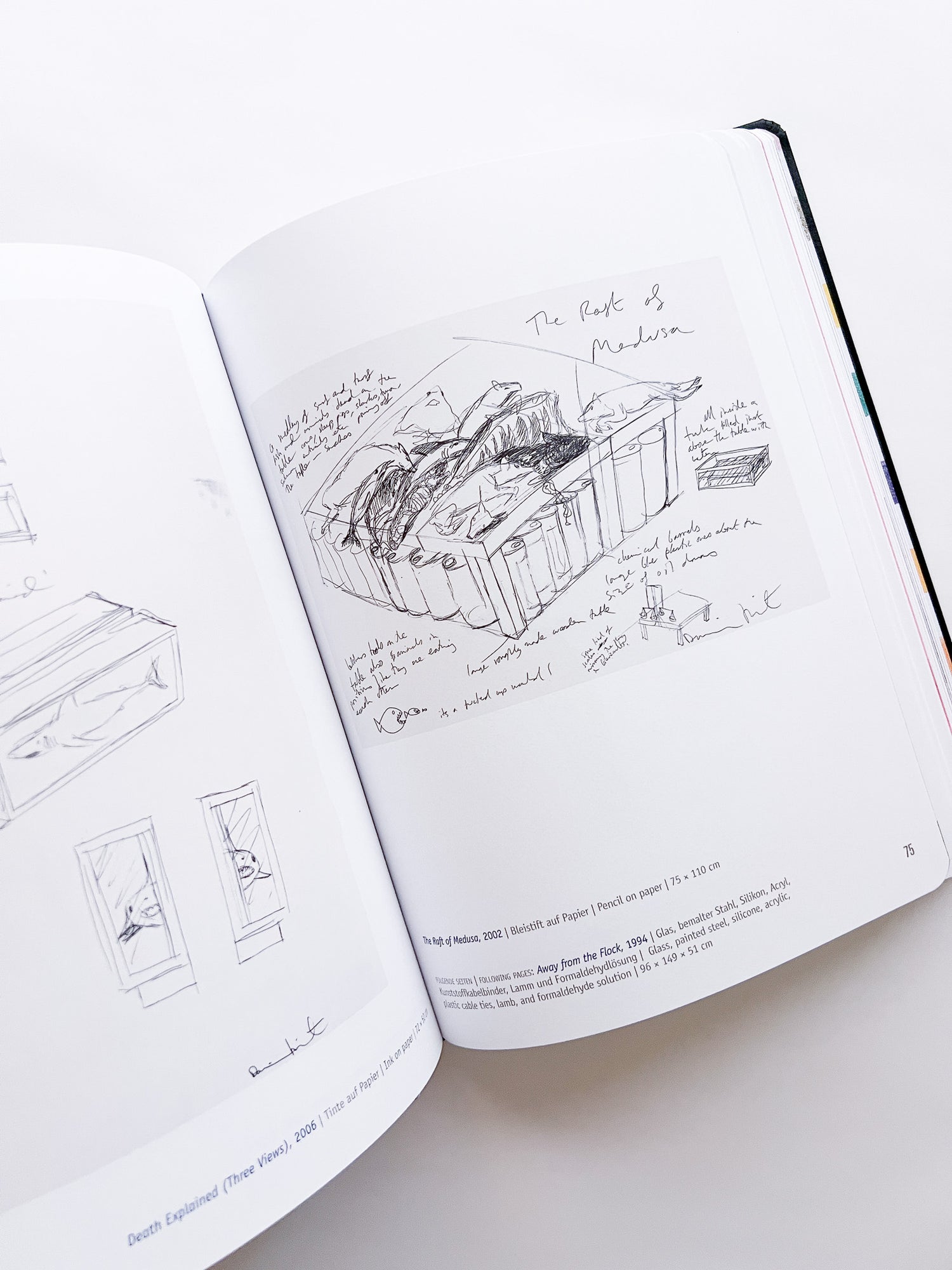 DAMIEN HIRST - DRAWINGS / Damien Hirst