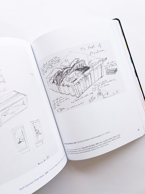 DAMIEN HIRST - DRAWINGS / Damien Hirst