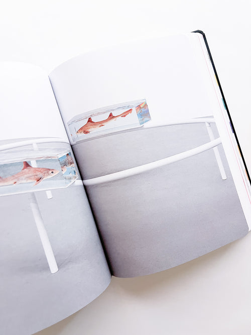 DAMIEN HIRST - DRAWINGS / Damien Hirst