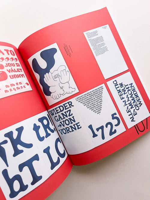 SUPPORT INDEPENDENT TYPE II