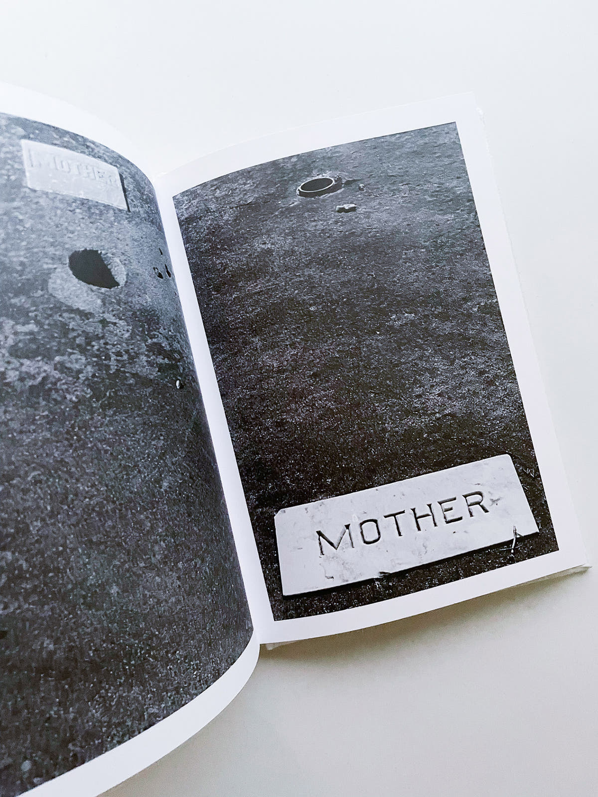 Rachel, Monique... / Sophie Calle