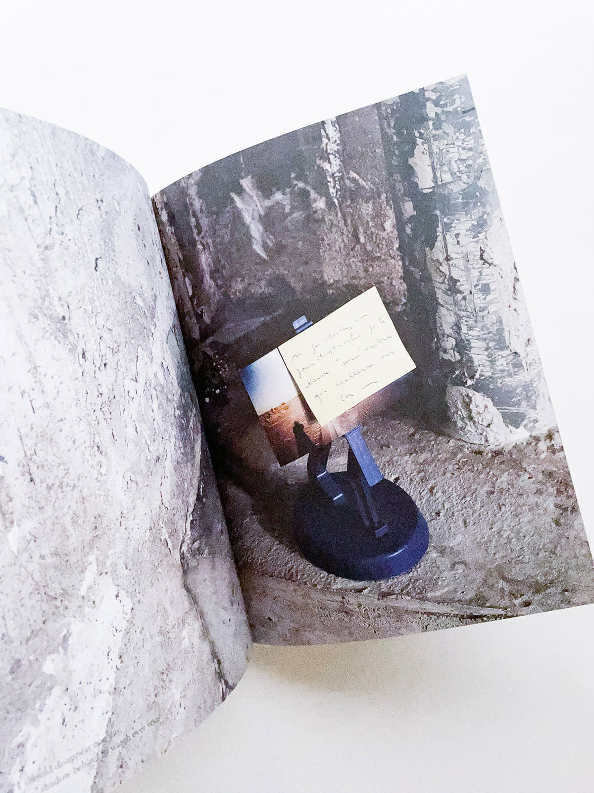 Rachel, Monique... / Sophie Calle
