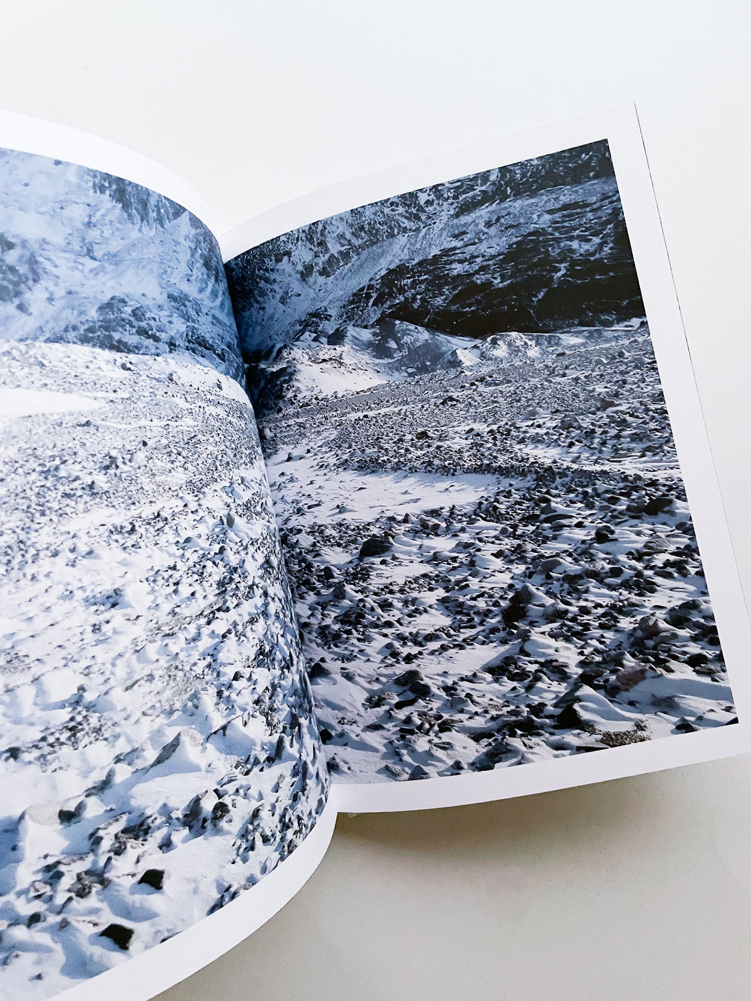 Rachel, Monique... / Sophie Calle