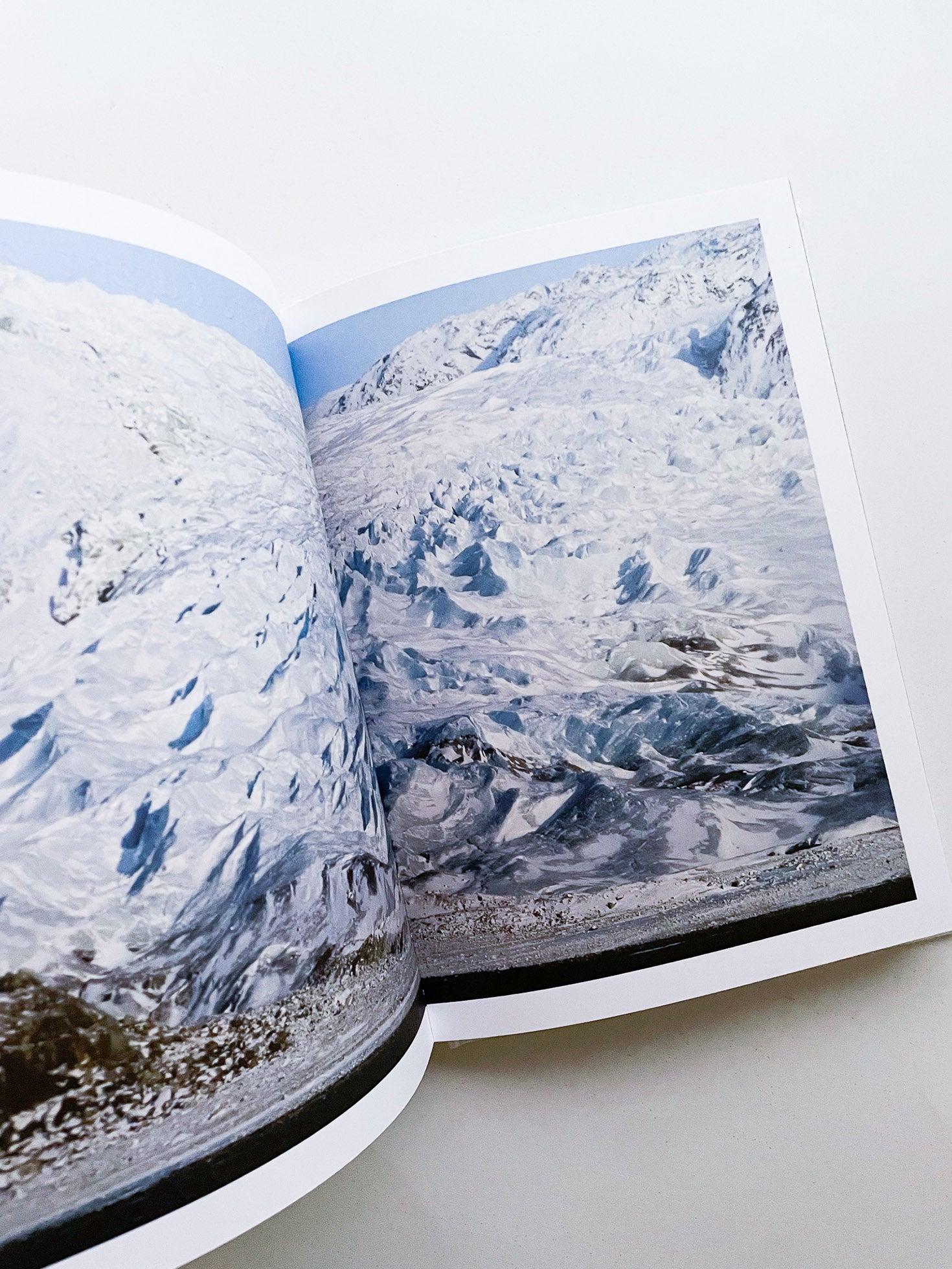 Rachel, Monique... / Sophie Calle