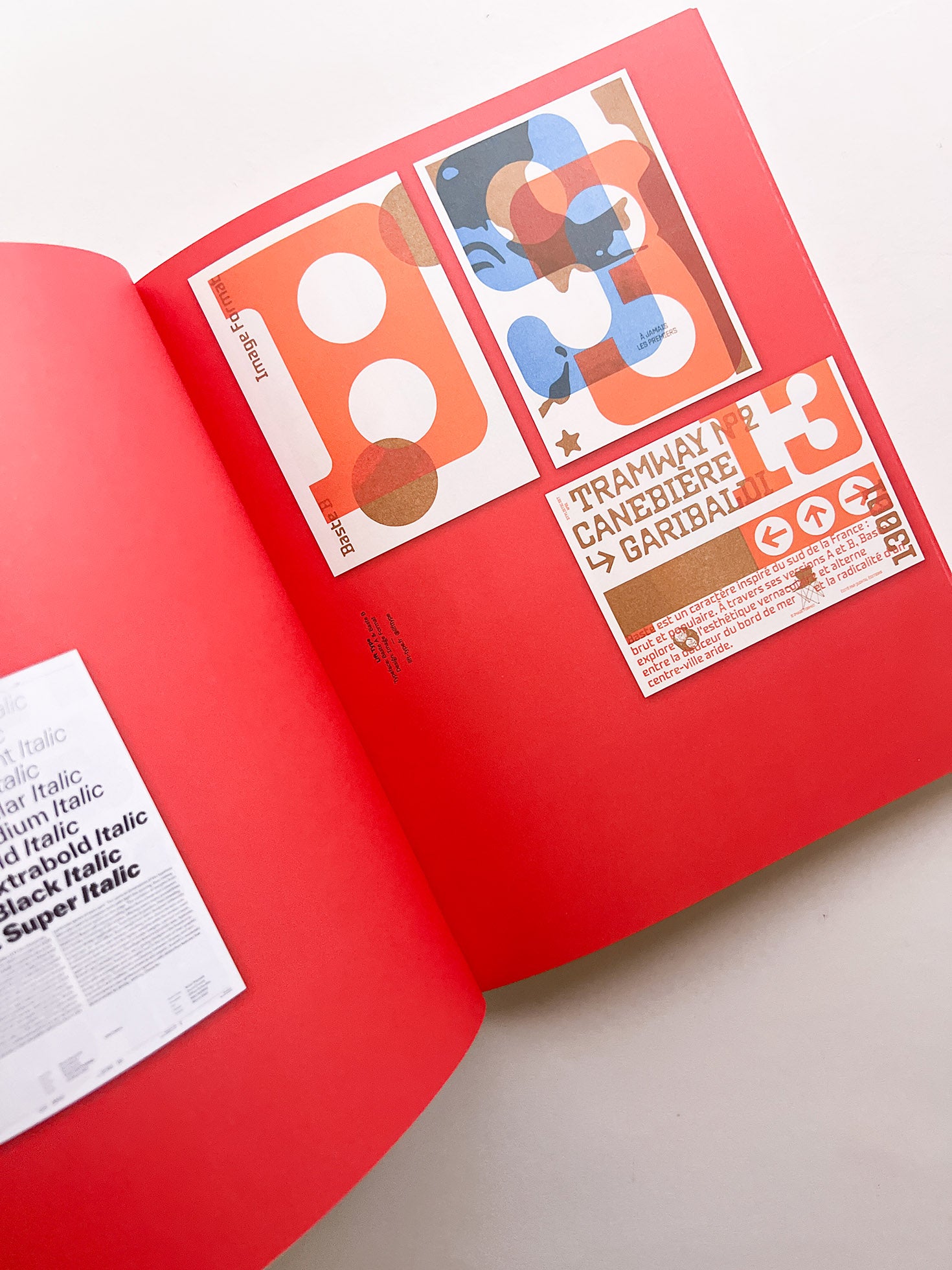 SUPPORT INDEPENDENT TYPE II