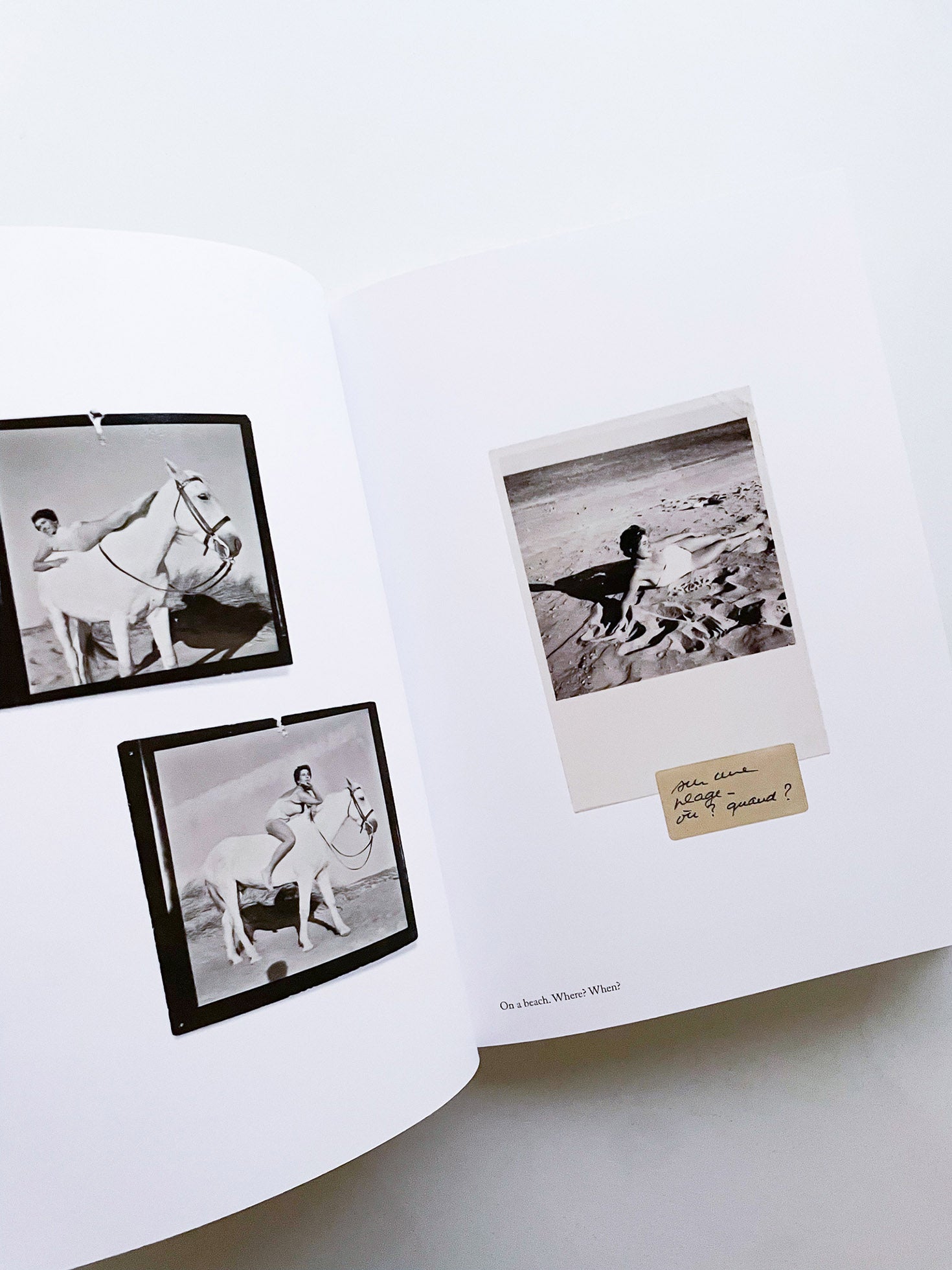 Rachel, Monique... / Sophie Calle